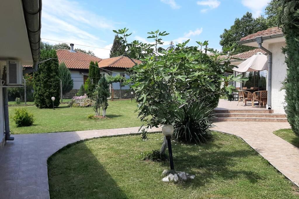 Guesthouse Oasis-Shabla Ngoại thất bức ảnh