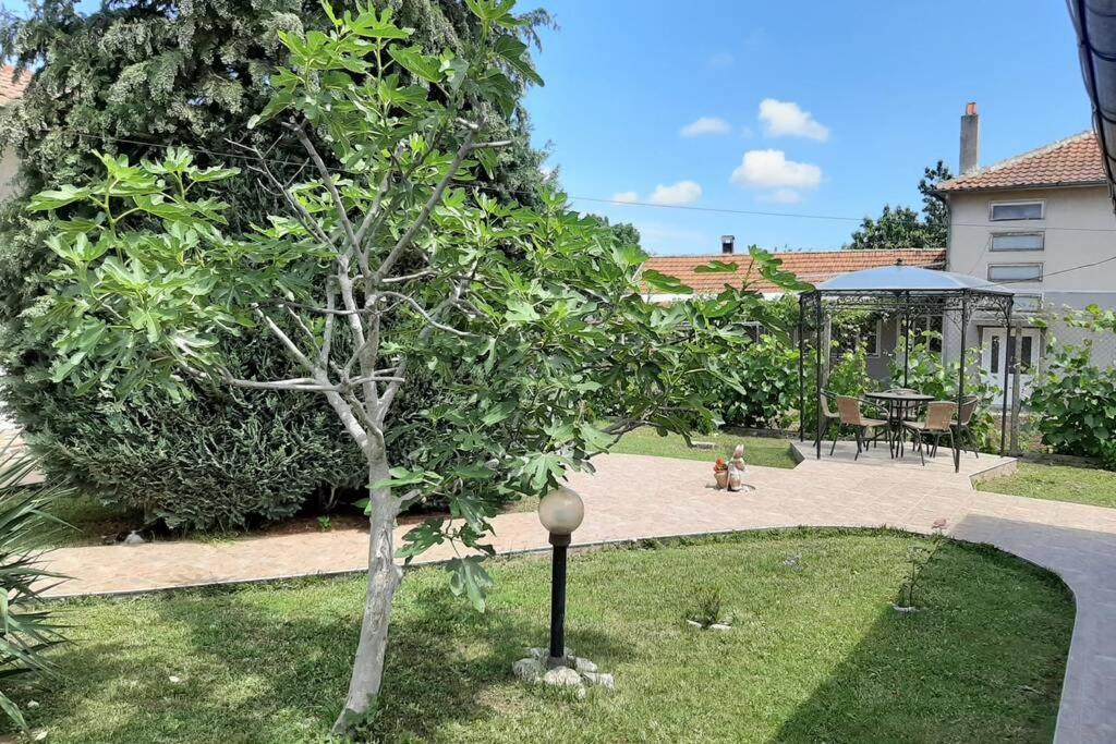 Guesthouse Oasis-Shabla Ngoại thất bức ảnh